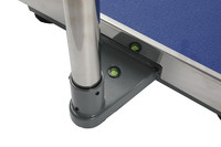 PUCHUN SCALES Chine Banc Balance Fabricant Numérique TCS Plate-Forme Électronique Balance 300kg