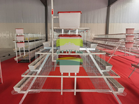 Cages automatiques de type A pour poules pondeuses - Acier galvanisé à chaud avec système de bande à fumier