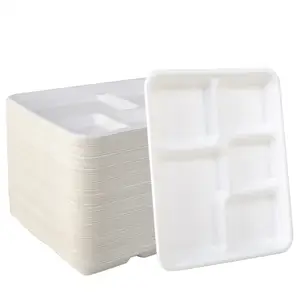 Compostable 5 Compartment Plates Eco-Friendly Disposable Sugarcane Bagasse School Lunch Tray Perfect for Boys and Girls