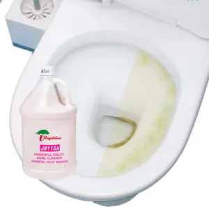 Rayshine Wholesale Multi-purpose Strong Detergent Chemical Toilet Cleaning Liquid 3.78 L