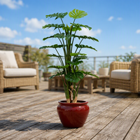Plante artificielle Guanyin en pot, verdure décorative d'intérieur pour salon et entrée, ornement d'arbre artificiel pour hôtel et club