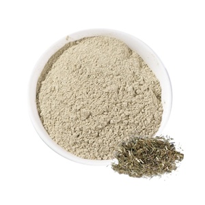 Grosir ramuan tradisional kualitas tinggi bubuk <span class=keywords><strong>Elsholtzia</strong></span> R R alami - Product Image 1