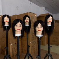 Têtes de Mannequin Droites en Cheveux Humains Naturels Non-Remy de 51 cm pour la Formation en Coiffure et Tressage, Idéales pour les Écoles de Coiffure (Vente en Gros)