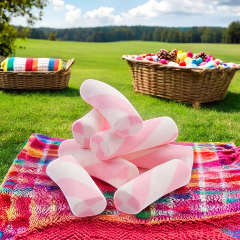 Brinquedo doce em forma de peça divertida de corda longa de marshmallow arco-íris torcido com sabor frutado de 24 cm