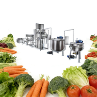 Hoge capaciteit automatische tomatenpuree fruitjam verwerkingslijn groenten aseptische verpakking CIP reinigingssysteem Yoursjoys 500