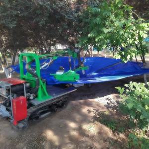 Vente chaude Secoueur d'oliviers multifonctionnel de type chenille Récolteuse automatique à vibrations pour la cueillette des <span class=keywords><strong>amandes</strong></span> et des noix - Product Image 5