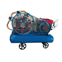 Compresseur d'air à vis robuste 15HP 110V/220V lubrifié refroidi par air pour usine et construction