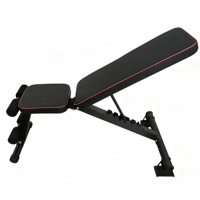 Banco Plegable para OmniGo AM9, Equipo de Gimnasio en Casa Todo en Uno, Ajuste de Altura para Diferentes Ejercicios, para Entrenamiento Diario