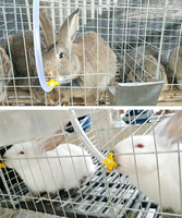 YYC Animal Cage Potable Suspendu Mamelon Buveur Automatique Lapin Mamelon Buveur D'eau