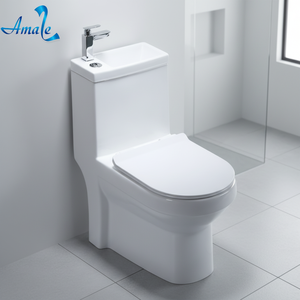 Ensemble lavabo et toilettes combinés en céramique pour salle de bain, Sanitary Ware Singapore - Product Image 5