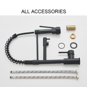 Grifo de cocina <span class=keywords><strong>Gourmet</strong></span> de lujo negro Instalación de un solo orificio Pulverizador de resorte de doble Caño Torneira Cozinha Uso en el baño - Product Image 5
