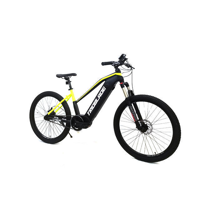 Cheap Price Electric Bike Electric City Bikes Electric Sports Bike Electric Bicycle
