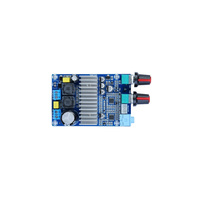 Carte d'amplificateur audio de puissance numérique pour subwoofer 100W Amplificateurs Mono Super Bass Classe D 20Hz-180Hz Subwoofer AMP TL072C