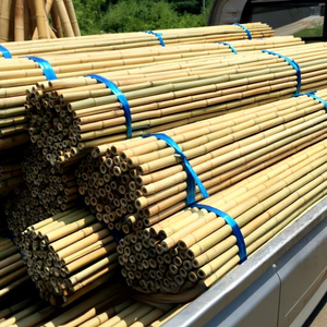 <span class=keywords><strong>Poste</strong></span> de Bambú Anticorrosión para Cercas, Asta de Bandera, Techo, División de Espacios - Uso Interior/Exterior, Varias Opciones de Grosor y Longitud - Product Image 1