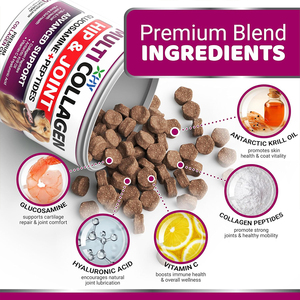 Friandises à mâcher pour chiens pour les articulations et les hanches avec glucosamine – Compléments quotidiens pour la santé des articulations et des hanches des chiens - Product Image 3