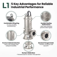 Pompa Submersible Stainless Steel 304 316 untuk Pengolahan Air Limbah Kota dan Pembuangan Limbah Laut