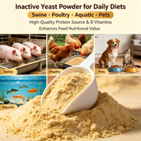 Poudre de levure active à haute activité, additif probiotique naturel pour le soin intestinal du bétail, des animaux aquatiques et des animaux de compagnie