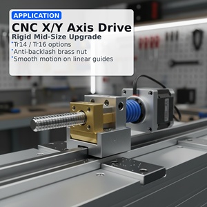 数控铣床丝杠 Tr14 Tr16 防反牙黄铜螺母，适用于高负载 X Y 轴 - Product Image 2