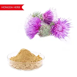 Hongda Super Milk Thistles Ingredient 10:1 20:1 Milk Thistle Extract Powder