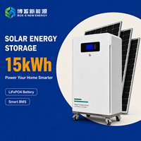 Batterie LiFePO4 murale 14KWh 15KWh 30KWh 48V 300Ah rechargeable pour système de stockage d'énergie domestique