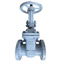 Acier au carbone standard russe GOST 20 # Vanne à opercule électrique montante PN16 en acier au carbone – Direct Usine