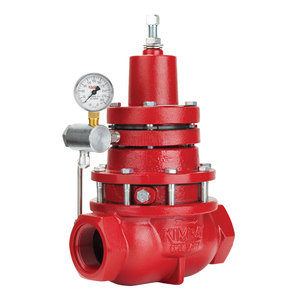 Regulador de Gas ABUV 230 SGT PR-D REG OEM con Conexión Hembra NPT para Reguladores Reductores KIMRAY ABUV 230 SG - Product Image 4