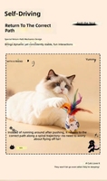 Jouet pour chat en bois Roly-Poly avec plume et clochette pour chatons, personnalisable avec logo OEM, marque privée, commande en gros, faible MOQ, fournisseur d'articles pour animaux de compagnie