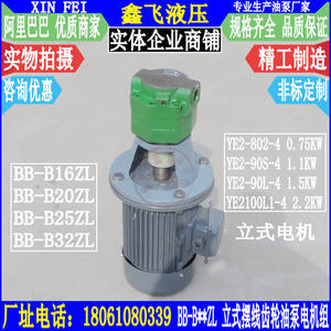 Conjunto de Motor y Bomba de Aceite de Engranajes Cicloides Verticales BB-B16ZL B20ZL B25ZL B32ZL 1.5KW YE290L, Piezas de Motor para Maquinaria - Product Image 1