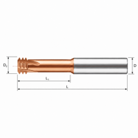 Fraise à filetage interne ISO métrique à denture complète en carbure monobloc CNC, efficace pour l'acier, double rangée, refroidissement intégré, micro-filetage, OEM