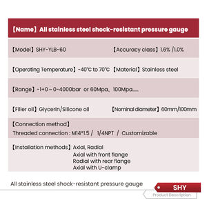 เกจวัดแรงดันอุตสาหกรรมความแม่นยำสูง โครงสร้างสแตนเลสทั้งหมด -30psi ถึง 6000psi ช่วงการวัด - Product Image 4
