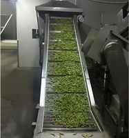 Séchoir à bande continue pour fruits, légumes, épices, herbes et produits agricoles