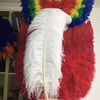 55-60cm plumes d'autruche en gros grandes plumes aile mur fête de mariage pour déco plume d'autruche