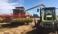 Agricole Asie Centrale Amérique du Sud Machine à Moissonner Tournesol Maïs Riz Soja Blé Sorgho Seigle Moissonneuse-batteuse