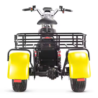 Triciclo Eléctrico de Carga Layor X10 2026, 60V, Carrocería Cerrada de Aluminio, GPS, Scooter Móvil, para Pasajeros