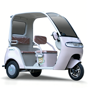 Tricycle électrique à carrosserie ouverte à <span class=keywords><strong>bas</strong></span> prix, 650W, pour adultes, 3 places, vitesse maximale de 35 km/h - Product Image 2