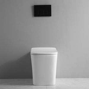 Bidé de Cerámica Empotrado en la Pared con Cisterna Oculta, Diseño Moderno, Autolimpieza, Rociador Vertical para Baños Pequeños - Product Image 2