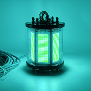 1000w Deep Sea Pesca Luz com Controle Remoto Submersível Squid Octopus Atrair - Product Image 5