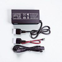 Chargeur de batterie au phosphate de fer et de lithium 12V, chargeur intelligent rapide pour batterie au lithium 12V à cellule unique 14,6V 20A