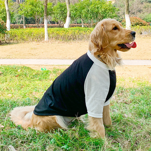 Gilet d'entraînement de <span class=keywords><strong>coyote</strong></span> respirant en gros dos de poitrine pour Golden Retriever, Samoyède, Labrador et autres races moyennes à grandes races - Product Image 2