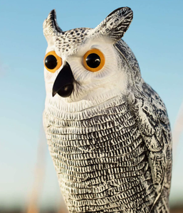 Volledig kunststof groothandel uilen lokvogels om vogels weg te jagen, uilen ornamenten, decoratieve tuinlandschapsarchitectuur lokmiddel - Product Image 3