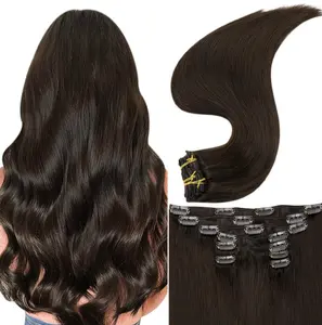 100% Russian Human Remy Clip On Hair Extensions Wholesale Natural Seamless Indian Clip In Hair Extension