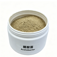 Inoculant en poudre pour fermentation acétique Acetobacter 10 milliards UFC/g, durée de conservation de 12 mois, sacs kraft de 25 kg pour l'éthanol et l'acide acétique