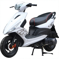 Nouvelle conception 2026 – Motos de course automatiques 125cc haute puissance avec moteur à essence et phare LED – Choix populaire – 90 km/h