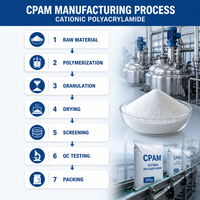 Poudre de floculant cationique PAM CPAM pour le traitement de l'eau et des boues