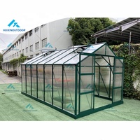 Maisons vertes modernes en polycarbonate plantation d'arrière-cour serre de jardin en aluminium et métal vert de 6mm