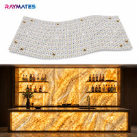 Panneau LED flexible ultra-fin et léger pour enseignes publicitaires rétroéclairées personnalisées, 160 LED, 320 LED/pièce, pour vitrine de magasin