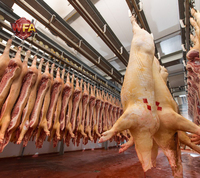 Équipement d'abattage porcin HACCP, ligne complète de transformation du porc, machinerie d'abattage des moutons, machine d'abattage des bovins