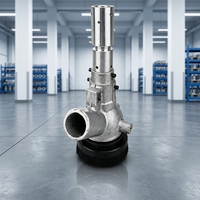 Pistolet de sablage en alliage d'aluminium Born Machinery, diamètre extérieur 35 mm, longueur totale 340 mm, avec protection de brosse pour l'élimination de la rouille de surface