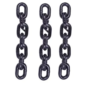 High Quality Block Chain For Lifting Heavy Duty Double Legs Sling G80 Alloy Steel Standard Black Chain Paint T/T
