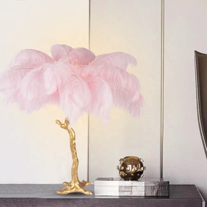 Nhựa cơ sở Bảng Led lampe vàng Nhà Máy Bán buôn trang trí hiện đại mới lạ DC Feather 15 tùy chỉnh Nordic Đèn 80 DC 5V trung - Product Image 1